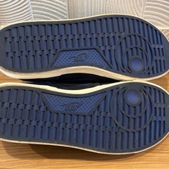 25.5センチ　NIKE スニーカーの画像