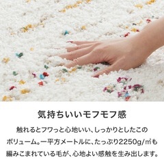 140×200 シャギーラグ ホットカーペット・床暖房使用可 ウィルトン織の画像