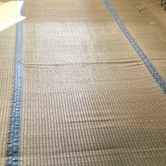 ニトリ　イグサ上敷き　ゴザ　いぐさラグ　六畳　無料の画像