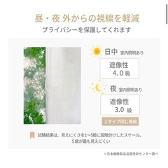 帝人テイジン　特殊機能糸エコリエ   レースカーテン　100×133 ①の画像