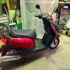 HONDA TACT タクト AF79の画像