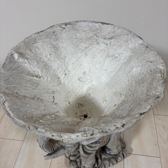 観葉植物 ガーデンポットの画像