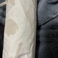 Wpc.  日傘の画像