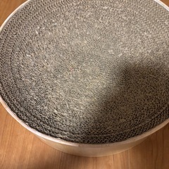 猫壱　レギュラーサイズの画像