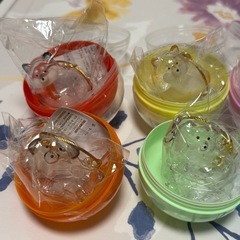 うちの子のけだまだま  犬のけだまだま の画像