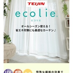 帝人テイジン　特殊機能糸エコリエ   レースカーテン　100×133　②の画像