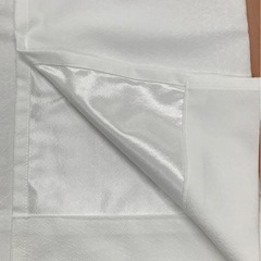 帝人テイジン　特殊機能糸エコリエ   レースカーテン　100×133　②の画像