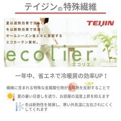 帝人テイジン　特殊機能糸エコリエ   レースカーテン　100×133 ④の画像