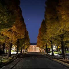 慶應生、京大生の選抜講師による家庭教師　受験対策、定期テスト対策、塾フォローに。の画像