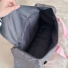 【引越処分】ペットキャリーバッグの画像
