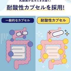 ビフィラル／30日分／乳酸菌サプリ／ビフィズス菌／酪酸菌／耐酸性カプセル⭐️新品未開封の画像