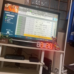 パナソニックVIERA2009年製HDD内蔵の画像