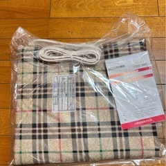 未使用】KOIZUMI ソフト電気あんか チェック柄 KSA-037 の画像