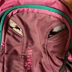 サイズ130スカート　パタゴニアリュックの画像