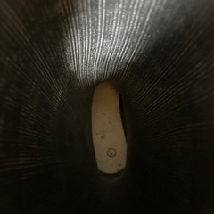 ワークマン　安全長靴、レインウエアの画像