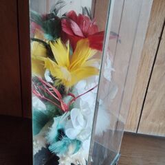 インテリア ガラスケース入り 花と貝の画像