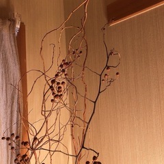 ⑧インテリア　ドライフラワー枝2本セットの画像