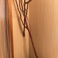 ⑧インテリア　ドライフラワー枝2本セットの画像