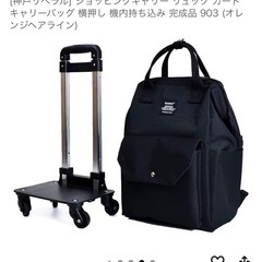 【新品未使用品】ショッピングキャリー　バッグの画像