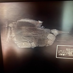 シャープ　テレビ　ジャンク品の画像