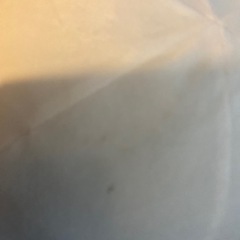 モンスターボールクッションの画像