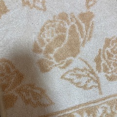 まとめての画像