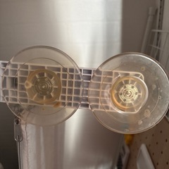 猫 窓取り付けハンモックの画像