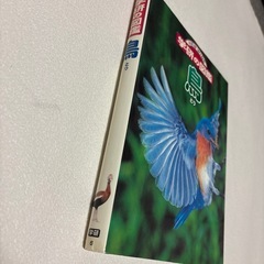 学研の図鑑　鳥の画像