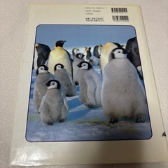 学研の図鑑　鳥の画像