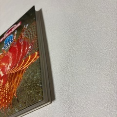 学研の図鑑　魚の画像