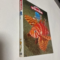 学研の図鑑　魚の画像