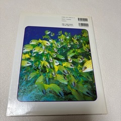 学研の図鑑　魚の画像