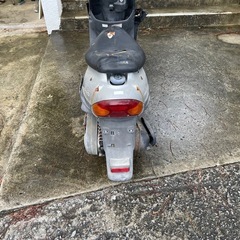 ベーシックジョグ　　ＢＪ　JOGの画像