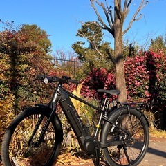 Panasonic XEALT（ゼオルト）S5シリーズ: メタリックダークグレー(e-bike ) の画像