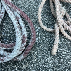 ③ ロープ　5.5m 3.5m 2本セットの画像