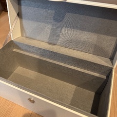 リファ ReFa 光美容器 ReFa EPI W（リファ エピ ダブル） 交流式 5段階照射レベル調節 L型ハンドピース採用 AUTOモード搭載 顔・体・VIO対応 男女兼用 海外対応 RE-AY-02Aの画像