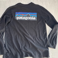 Patagonia 長袖シャツ　　Mサイズの画像