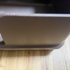 猫　トイレ　多頭飼い　の画像