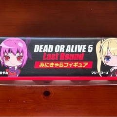 DEAD OR ALIVE 5 Last Round みにきゃらフィギュアの画像