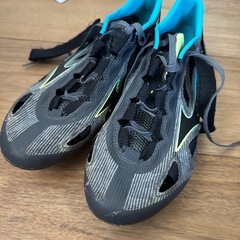 ３２.スパイクの画像