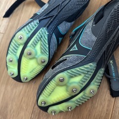 ３２.スパイクの画像