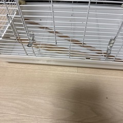 鳥大型ケージの画像