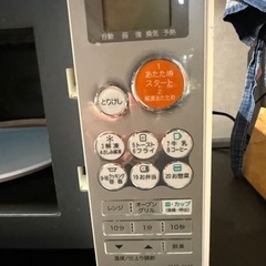 電子レンジ　電子オーブン　使用に問題なしの画像