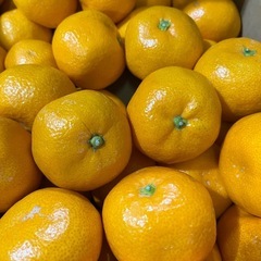 AQ有田みかん1箱5kg Mサイズの画像