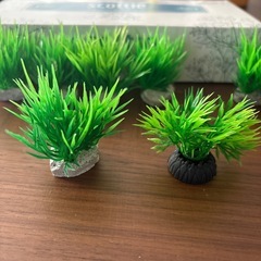 フェイク水草 オブジェの画像