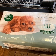 【お渡し者確定しました】ペットケージ　小動物の画像