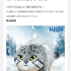 マヌルネコ　XL　ぬいぐるみの画像