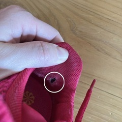 Nike SuperRep Go （サイズ23.5）の画像