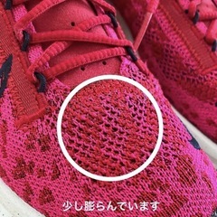 Nike SuperRep Go （サイズ23.5）の画像