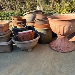 植木鉢と盆栽鉢の画像